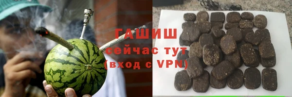 хмурый Абаза