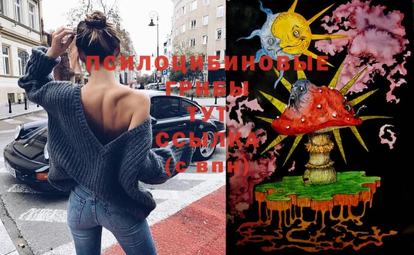 сатива Алзамай