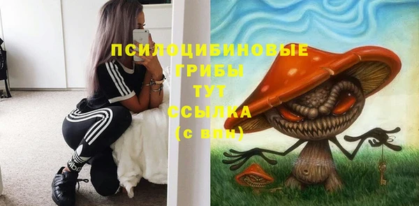 хмурый Абаза