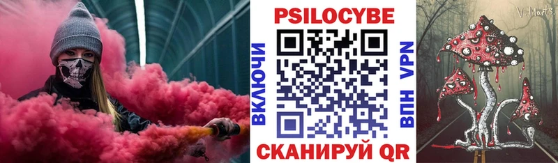 Псилоцибиновые грибы Cubensis закладки Таштагол